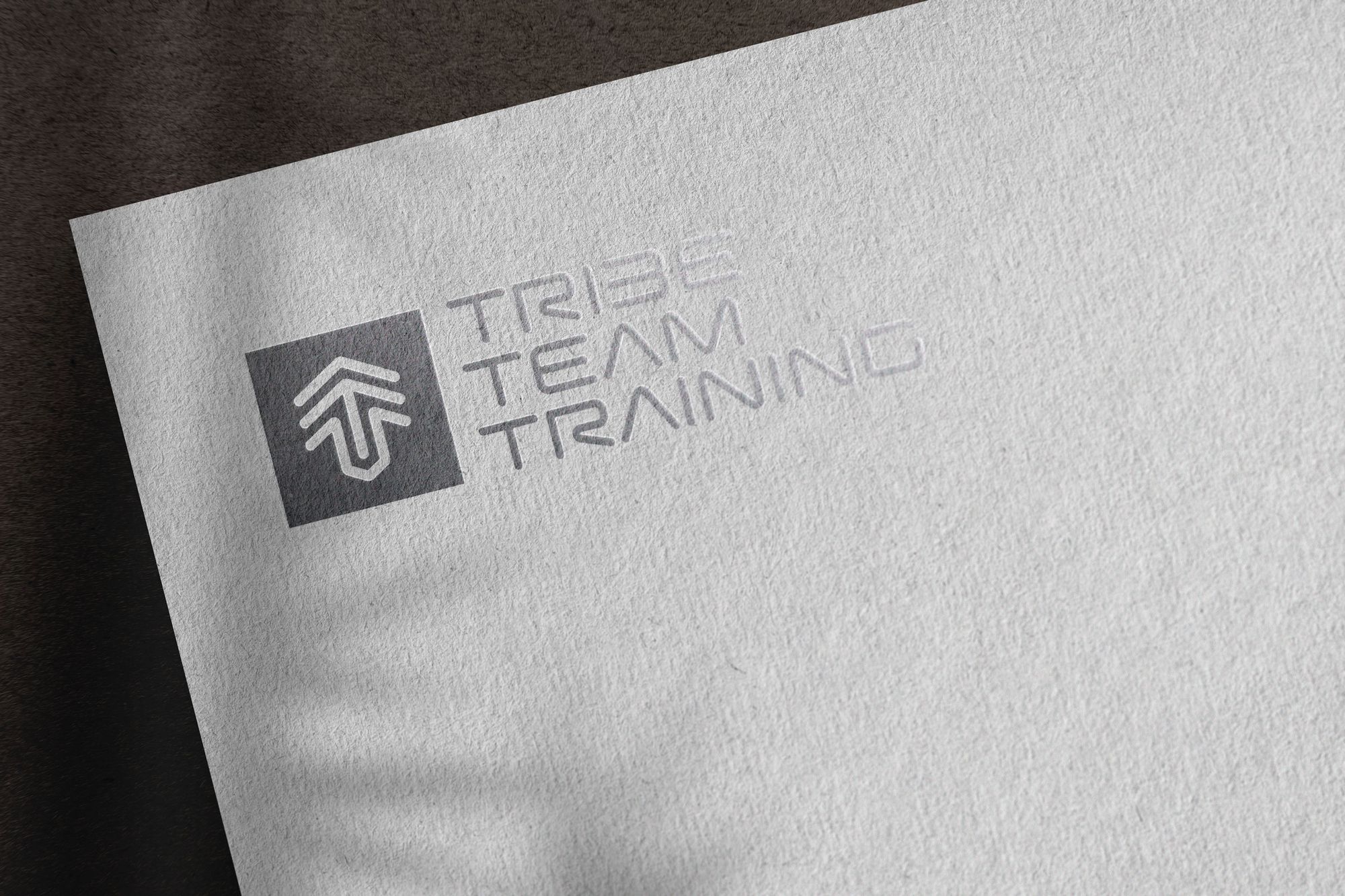 TRIBE Team Training, image 3